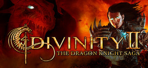 Divinity II: Dragon Knight Saga