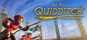 Harry Potter: Campeones de Quidditch