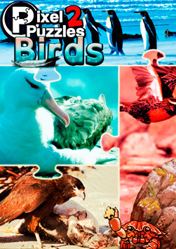 Pixel Puzzles 2: Birds