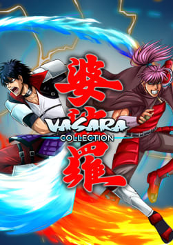 VASARA Collection