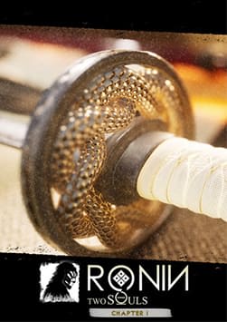 RONIN: Two Souls