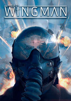 Project Wingman