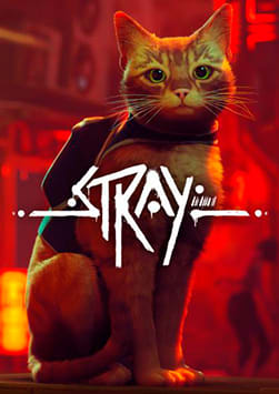 Stray