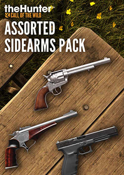 theHunter: Call of the Wild - Assorted Sidearms Pack