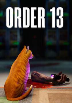 ORDER 13