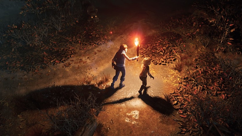 Captura de pantalla 2 - Brothers: A Tale of Two Sons Remake
