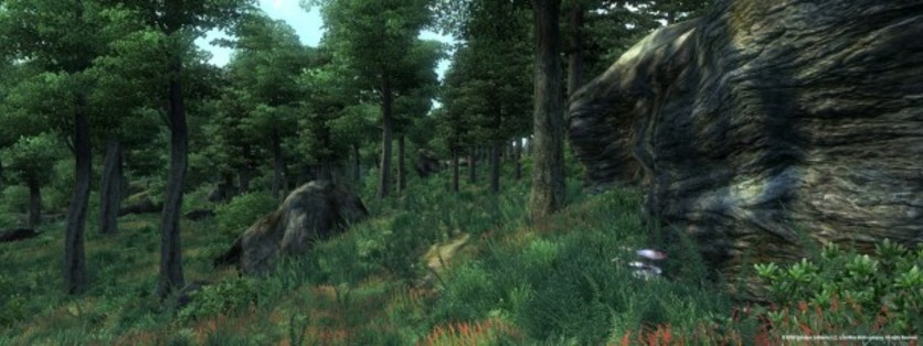 Captura de pantalla 6 - The Elder Scrolls IV: Oblivion GOTY Edition Deluxe