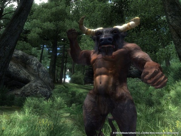 Captura de pantalla 28 - The Elder Scrolls IV: Oblivion GOTY Edition Deluxe