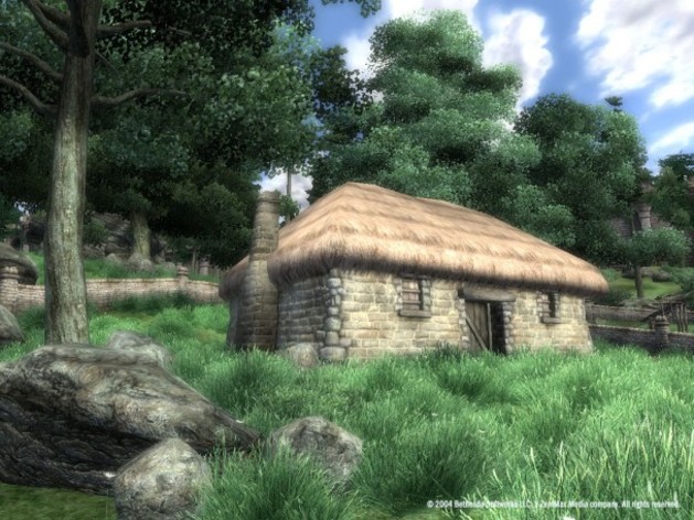 Screenshot 3 - The Elder Scrolls IV: Oblivion GOTY Edition Deluxe