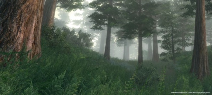 Captura de pantalla 23 - The Elder Scrolls IV: Oblivion GOTY Edition Deluxe