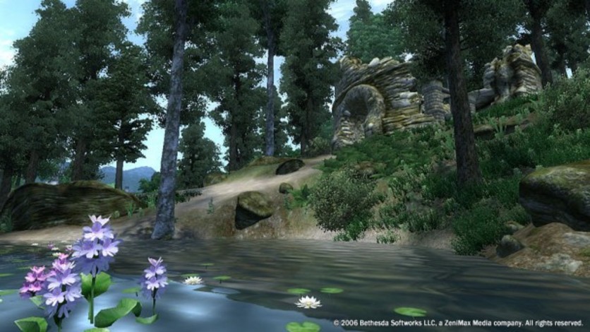 Screenshot 22 - The Elder Scrolls IV: Oblivion GOTY Edition Deluxe