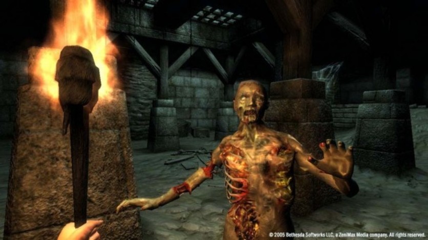 Captura de pantalla 16 - The Elder Scrolls IV: Oblivion GOTY Edition Deluxe