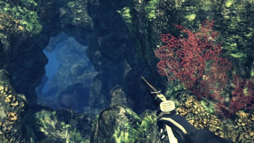 Screenshot 12 - Depth Hunter