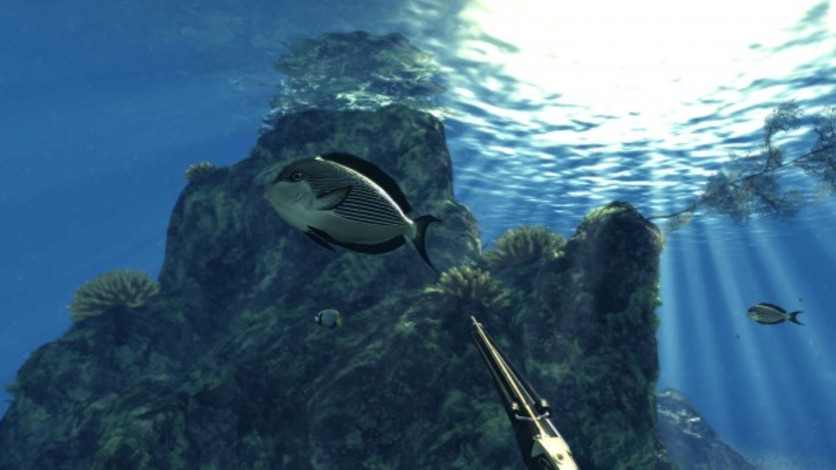 Captura de pantalla 6 - Depth Hunter
