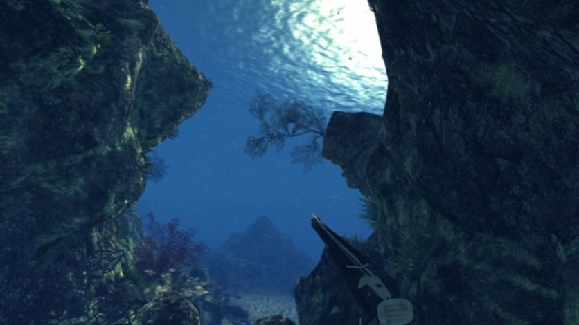 Captura de pantalla 13 - Depth Hunter
