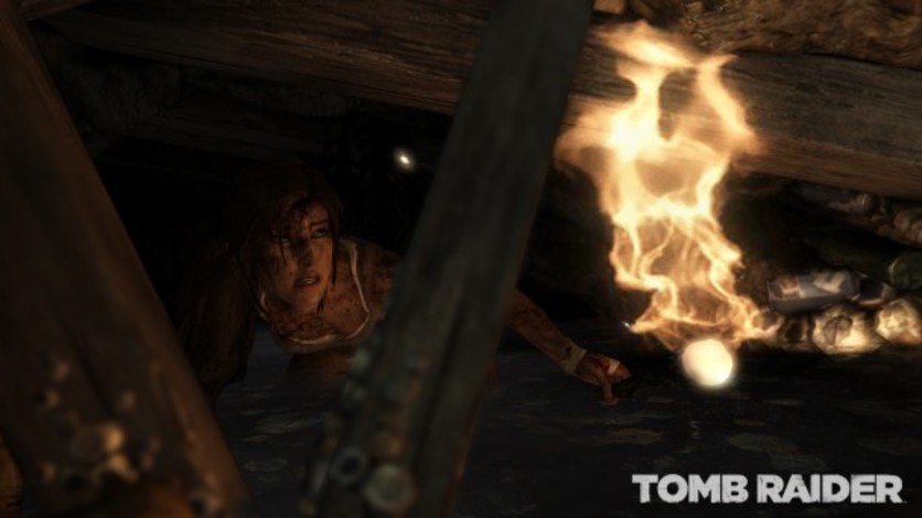 Screenshot 5 - Tomb Raider