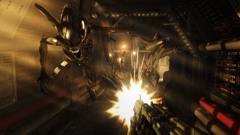 Captura de pantalla 6 - Aliens vs Predator Collection