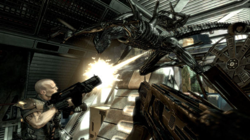 Screenshot 8 - Aliens vs Predator Collection