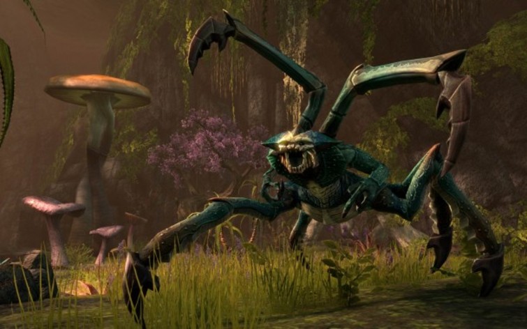 Screenshot 5 - The Elder Scrolls Online Standard Edition