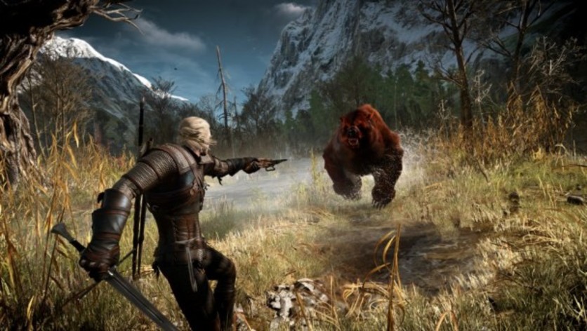 Image result for the witcher 3
