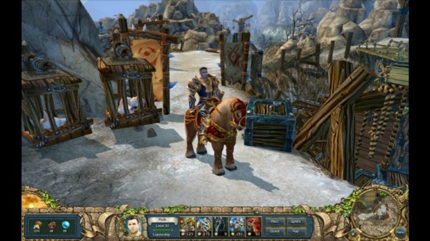 Screenshot 5 - King's Bounty: The Legend
