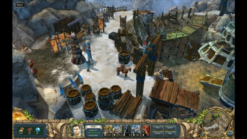 Screenshot 4 - King's Bounty: The Legend