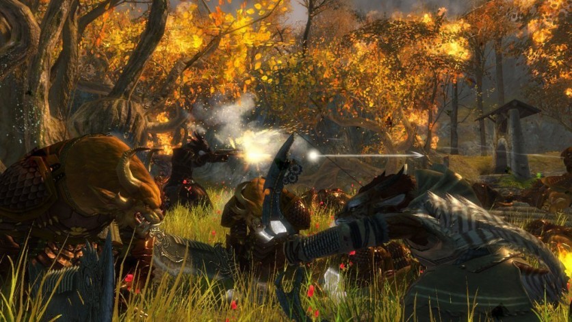Screenshot 6 - Guild Wars 2