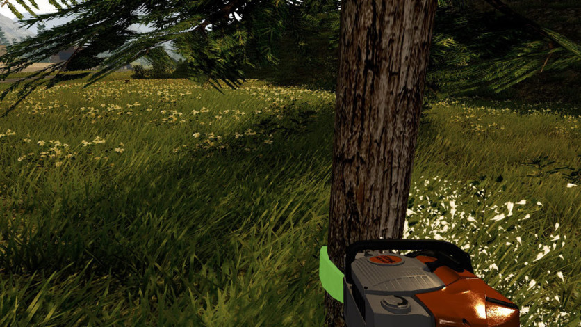 Captura de pantalla 6 - Forestry 2017 - The Simulation