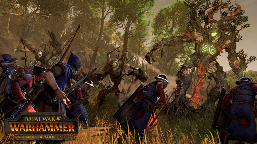 Screenshot 1 - Total War: WARHAMMER - Realm of The Wood Elves
