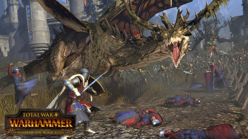 Screenshot 2 - Total War: WARHAMMER - Realm of The Wood Elves