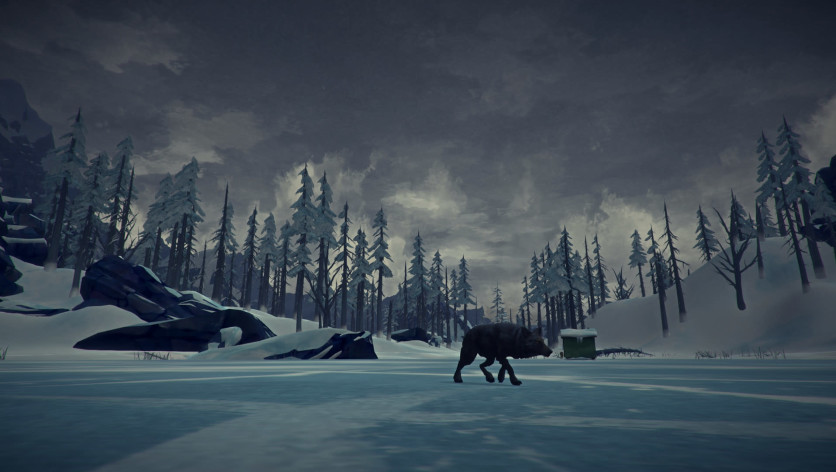 The Long Dark - Jogo de Sobrevivência Na Neve 