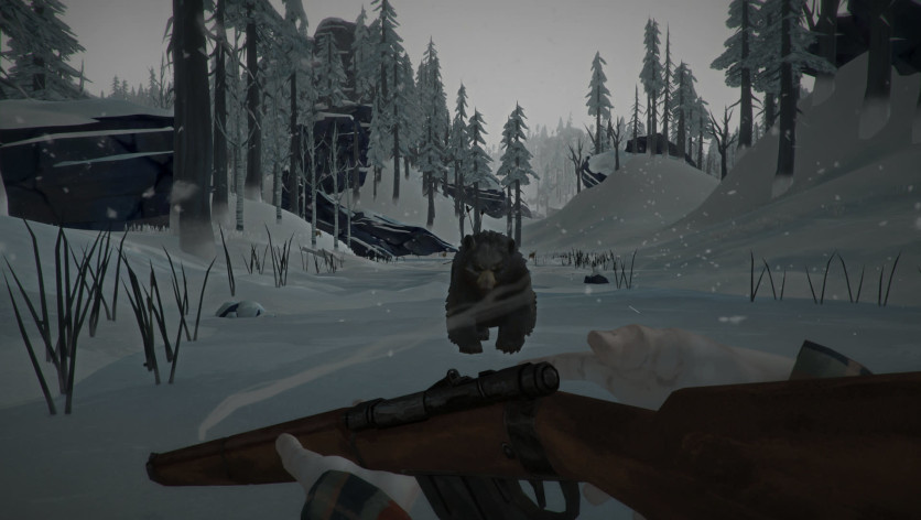 Captura de pantalla 9 - The Long Dark