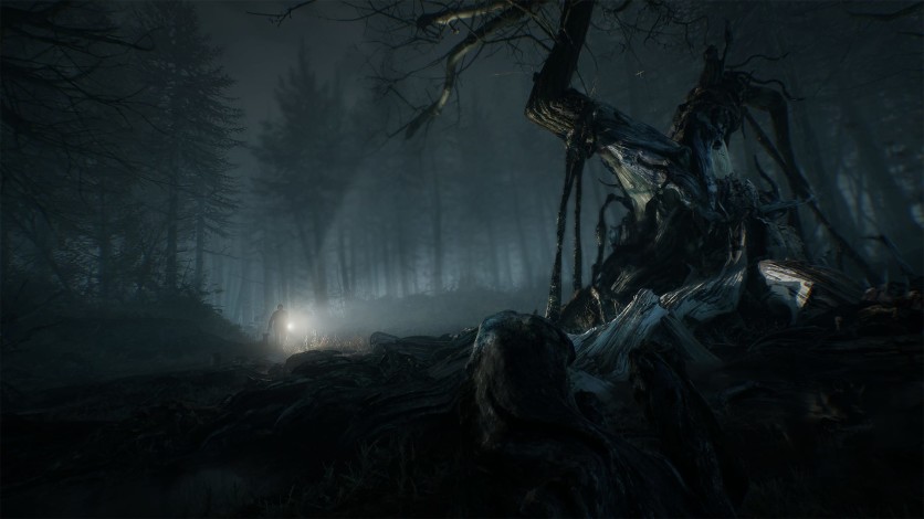 Captura de pantalla 2 - Blair Witch