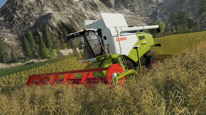 Screenshot 3 - Farming Simulator 19 - Platinum Edition