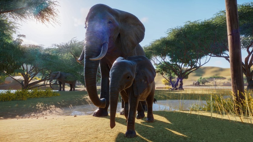 Screenshot 17 - Planet Zoo