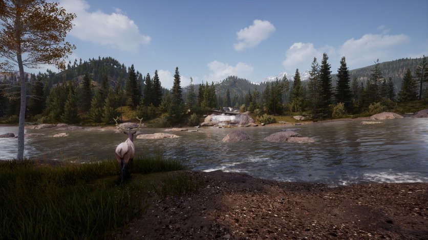 Screenshot 4 - Hunting Simulator 2