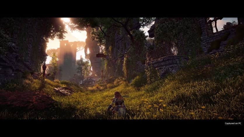 Screenshot 6 - Horizon Zero Dawn Complete Edition