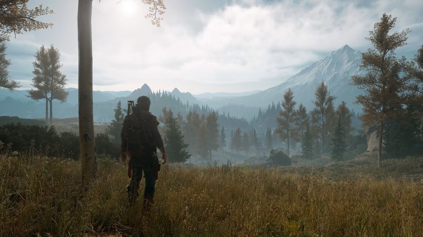 Screenshot 4 - Days Gone