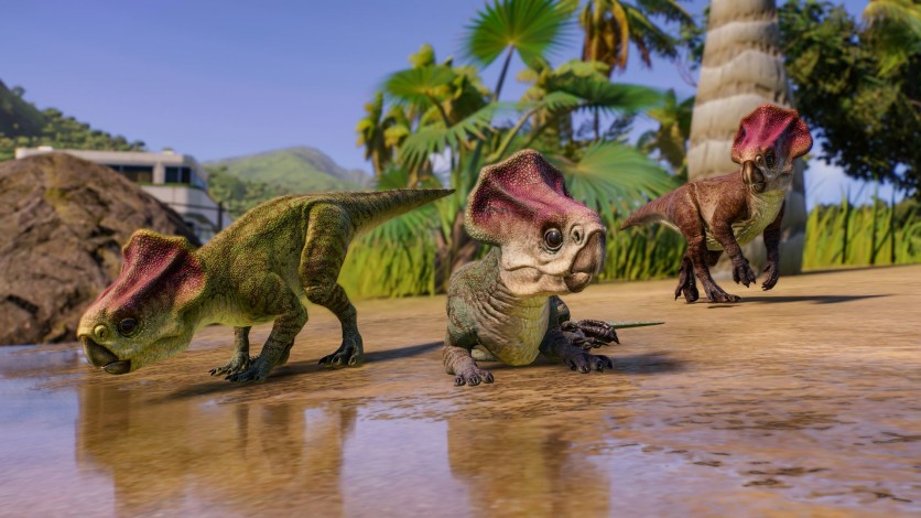Captura de pantalla 5 - Jurassic World Evolution 2: Park Managers' Collection Pack