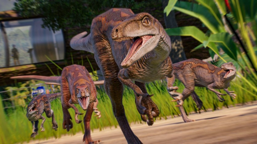 Captura de pantalla 6 - Jurassic World Evolution 2: Park Managers' Collection Pack