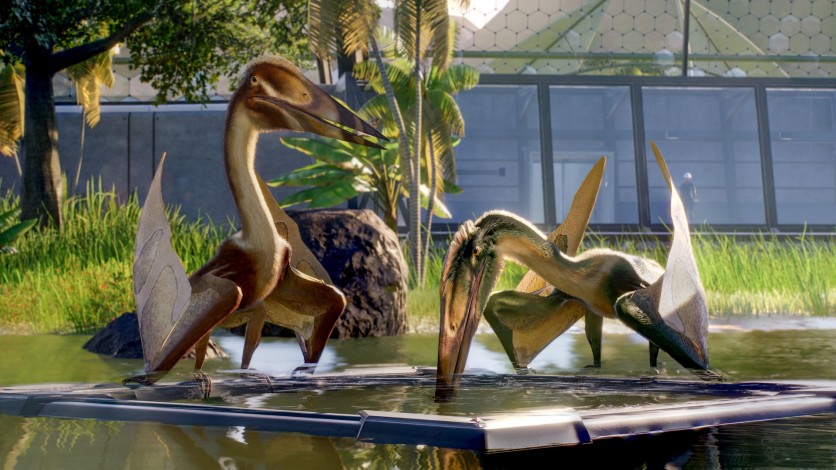 Captura de pantalla 9 - Jurassic World Evolution 2: Park Managers' Collection Pack