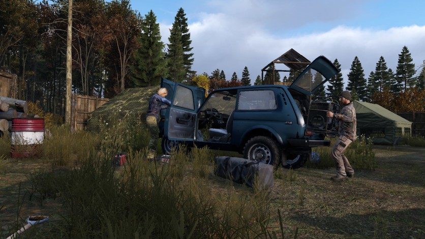 Screenshot 1 - DayZ