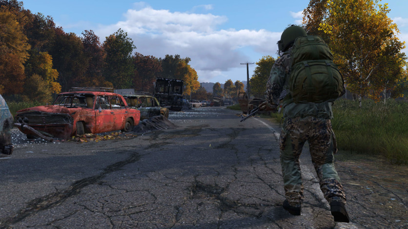 Screenshot 10 - DayZ