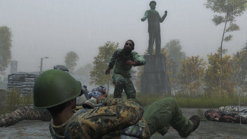 Captura de pantalla 2 - DayZ