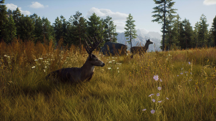 Screenshot 7 - Way of the Hunter