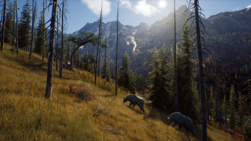 Screenshot 6 - Way of the Hunter