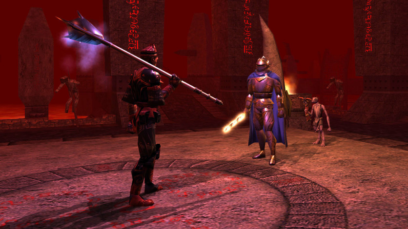 Captura de pantalla 2 - Neverwinter Nights: Enhanced Edition