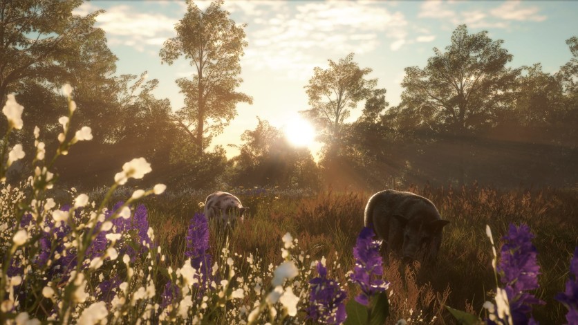 Screenshot 2 - theHunter: Call of the Wild - Mississippi Acres Preserve