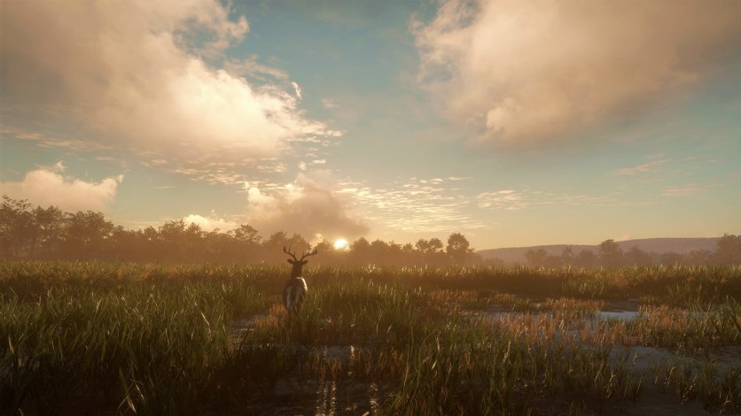 Screenshot 9 - theHunter: Call of the Wild - Mississippi Acres Preserve