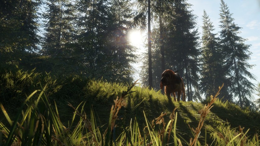 Screenshot 3 - theHunter: Call of the Wild - Bloodhound